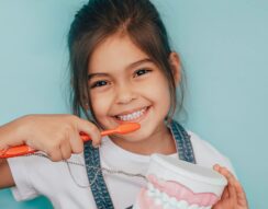 A child brushing teeth with a dental model